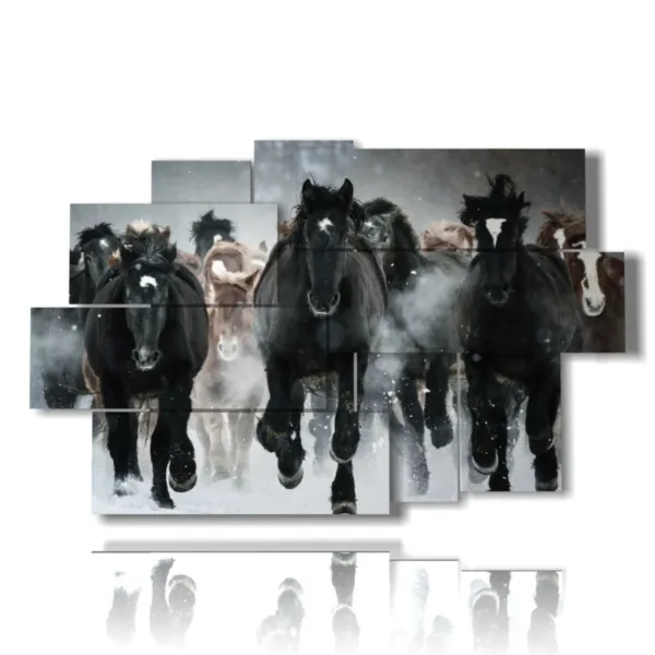 quadro cavallo al galoppo