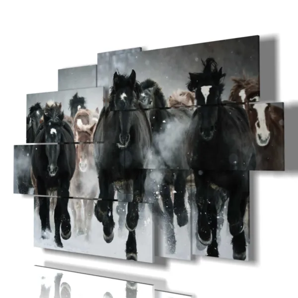 Drucken, Pferd im Galopp