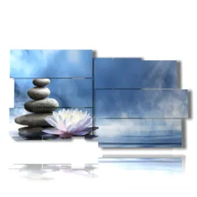 immagine fiore bianco