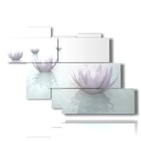 Image de fleur de lotus