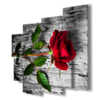 immagini quadri rose rosse