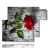 immagini quadri rose rosse - version: 6 pannelli 122x96cm