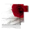 paintings with red roses and music - version: 6 pannelli 122x96cm