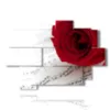 paintings with red roses and music - version: 9 pannelli 164x114cm
