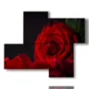 bild moderne rote rose - version: 4 pannelli 94x77cm