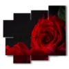 bild moderne rote rose - version: 5 pannelli 106x98cm