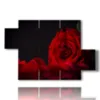 bild moderne rote rose - version: 5 pannelli 128x85cm