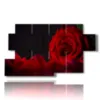 bild moderne rote rose - version: 7 pannelli 157x90cm