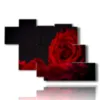 bild moderne rote rose - version: 7 pannelli 150x102cm