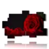 bild moderne rote rose - version: 11 pannelli 182x115cm