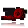 bild moderne rote rose - version: 9 pannelli 184x100cm