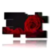 bild moderne rote rose - version: 10 pannelli 186x105cm