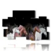 tableaux sur les chevaux aux mille couleurs - version: 10 pannelli 176x115cm