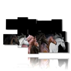 quadri sul cavalli