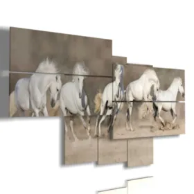 Cuadros sobre caballos blancos