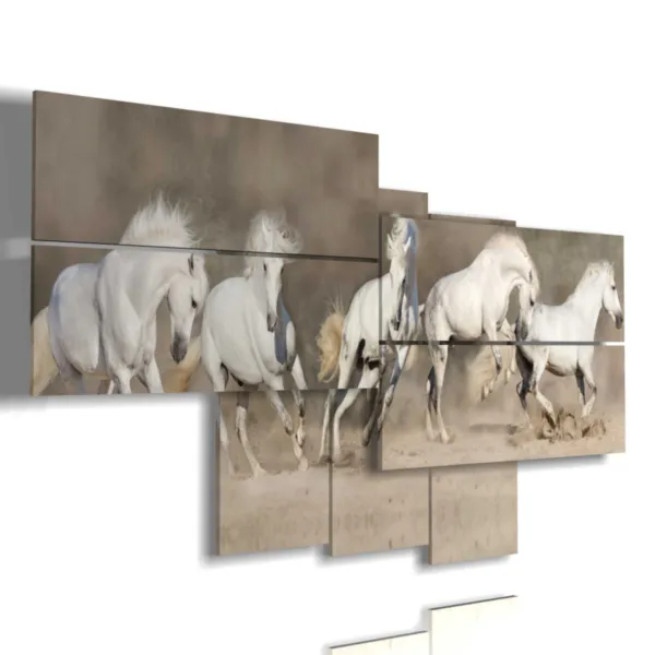 peintures sur des chevaux blancs