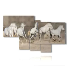 quadri sui cavalli