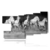 tableaux de chevaux blancs sur fond noir - version: 9 pannelli 184x108cm