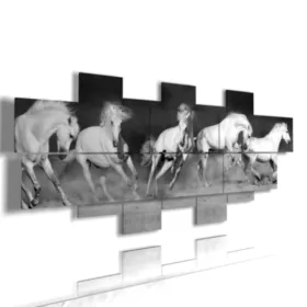 Tableaux de chevaux blancs sur fond noir