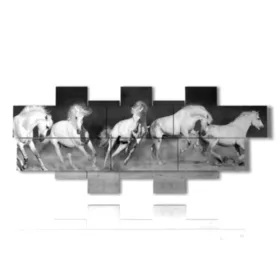 peintures chevaux blancs