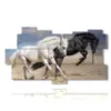 paintings representing horses running towards new adventures - version: 11 pannelli 198x112cm