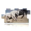 paintings representing horses running towards new adventures - version: 11 pannelli 202x103cm