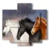 tableau cheval vous choisissez votre favori - version: 5 pannelli 89x85cm