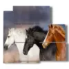 quadro di cavalli scegli tu il tuo preferito - version: 5 pannelli 102x93cm