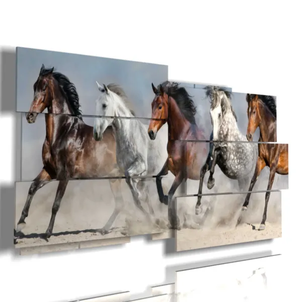 Cuadros de caballos árabes listos para la salida.