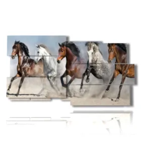 cuadros caballos árabes