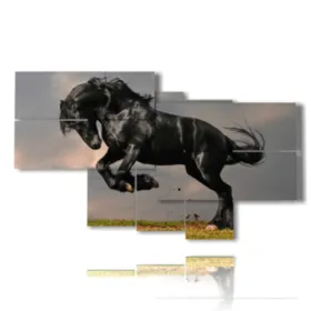 Tableau sur le cheval