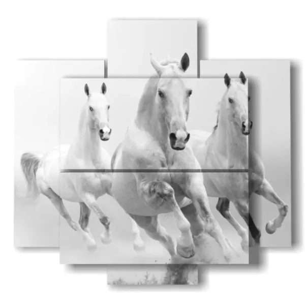 quadro con cavalli