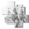 painting with the coming white horses - version: 4 pannelli 97x97cm