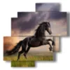cuadros imprime caballos negros en un campo al atardecer - version: 4 pannelli 77x78cm