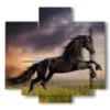 paintings prints black horses in a field at sunset - version: 5 pannelli 89x85cm