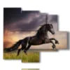 cuadros imprime caballos negros en un campo al atardecer - version: 5 pannelli 104x90cm