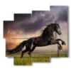 tableaux imprime des chevaux noirs dans un champ au coucher du soleil - version: 5 pannelli 106x98cm