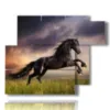 paintings prints black horses in a field at sunset - version: 6 pannelli 122x96cm