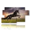 paintings prints black horses in a field at sunset - version: 7 pannelli 157x90cm