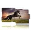 tableaux imprime des chevaux noirs dans un champ au coucher du soleil - version: 10 pannelli 183x100cm