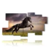paintings prints black horses in a field at sunset - version: 9 pannelli 184x100cm