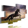 tableaux imprime des chevaux noirs dans un champ au coucher du soleil