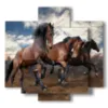 celebres tableaux de chevaux sauvages - version: 5 pannelli 89x85cm
