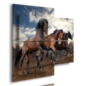 Cuadros de caballos famosos