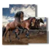 celebres tableaux de chevaux sauvages - version: 5 pannelli 102x93cm