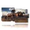 celebres tableaux de chevaux sauvages - version: 10 pannelli 183x100cm