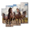 tableaux sur toile chevaux marron - version: 5 pannelli 106x98cm