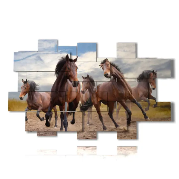 quadri su tela cavalli