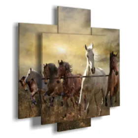 Paintings on canvas of horses