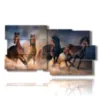 tableau chevaux galopant dans le sable - version: 10 pannelli 183x100cm